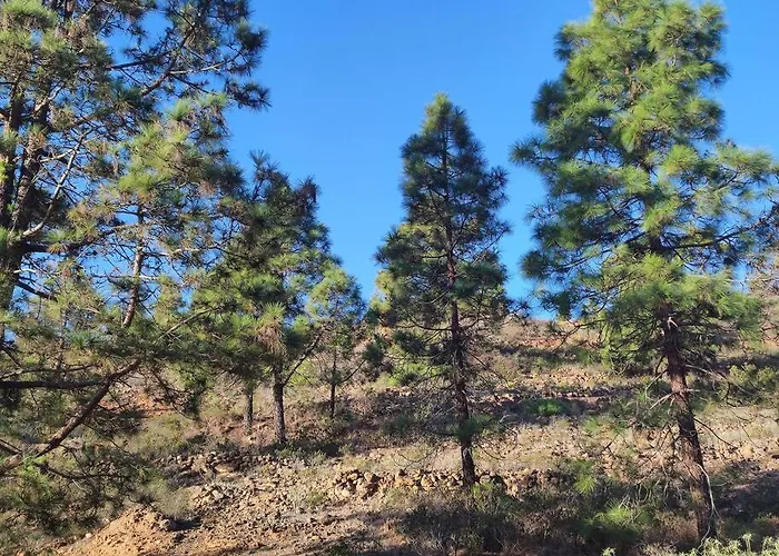 Carmen's House Arico